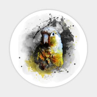 bird parrot art #bird #parrot Magnet